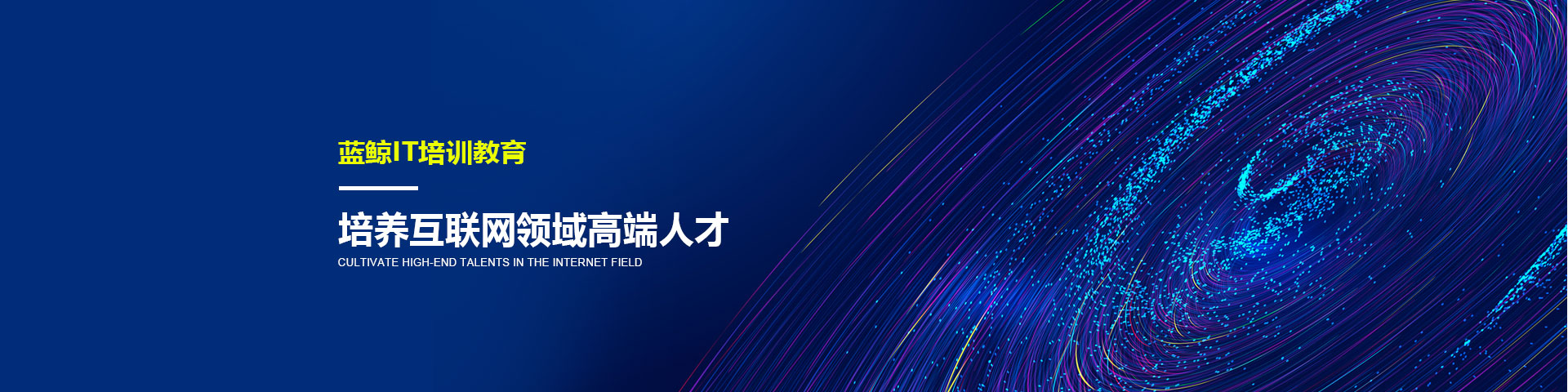 蓝鲸banner图1